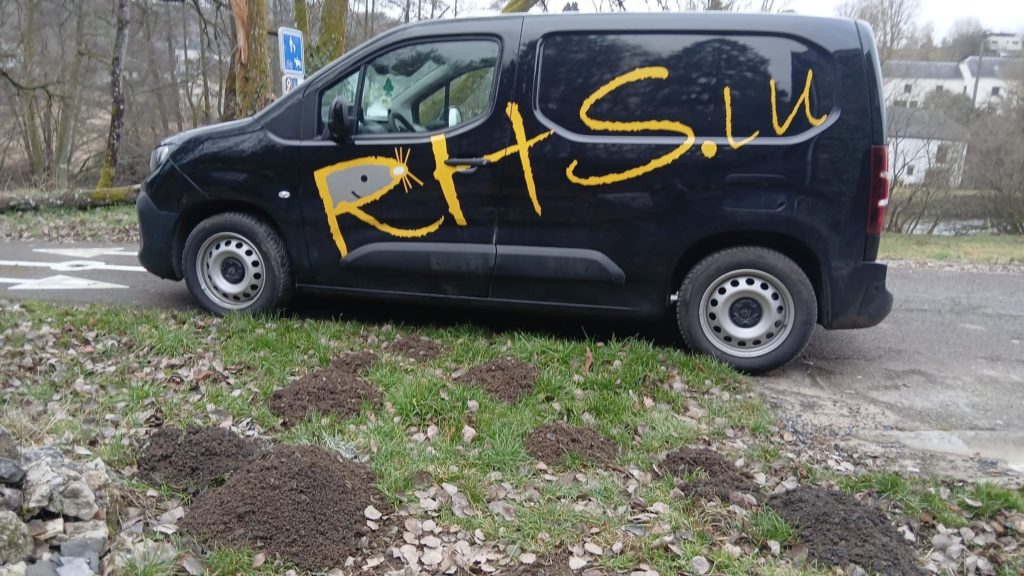 RHS taupe autres nuisibles luxembourg