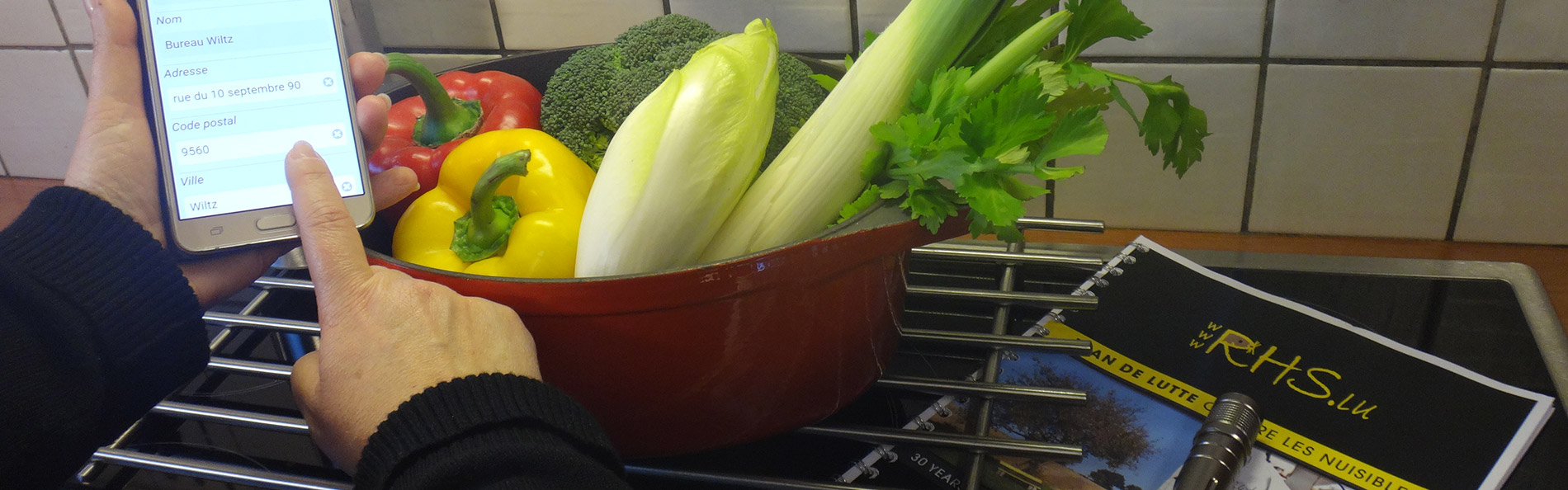 RHS Service hygiène qualité discrétion Luxembourg